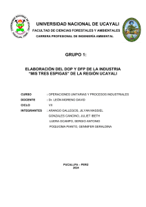 DOP y DFP de Industria Panadera en Ucayali