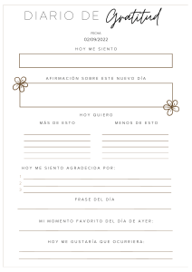 diario journaling gratitud escribir minimalista aesthetic blanco