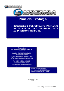 Plan Trabajo  AIPSA