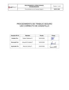 Proc. Trabajo Seguro  Uso Correcto de Canastillo