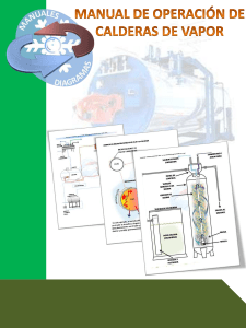 Manual de Operaci&oacute;n de Calderas de Vapor