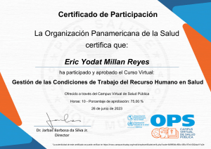  Gestión de las Condiciones de Trabajo del Recurso Humano en Salud -Certificado del Curso 3160738