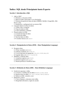 SQL desde Principiante hasta Experto: Guía Completa