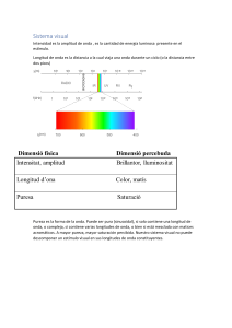 Sistema Visual: Física, Retina y Percepción