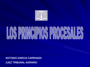 Principios Procesales en Tribunales Agrarios