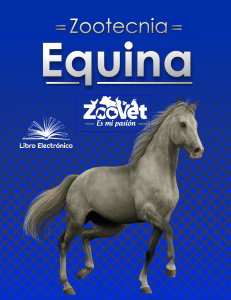 Zootecnia Equina: Historia, Cría y Manejo del Caballo