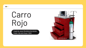 Carro Rojo: Descripción y Contenido