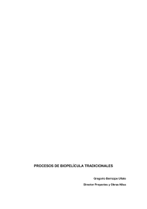 Procesos de Biopelícula Tradicionales: Lechos Bacterianos y Contactores