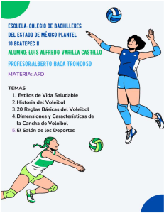 Voleibol: Estilos de Vida, Reglas y Cancha