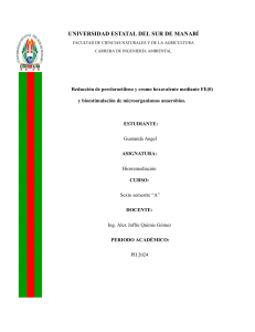 Reducción de PCE y Cr(VI) con Fe(0) y Bioestimulación