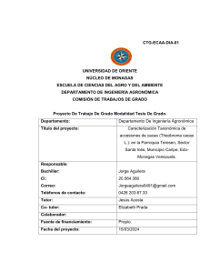 Tesis: Caracterización Taxonómica de Cacao en Monagas