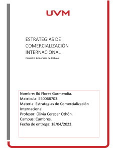 Estrategias de Comercialización Internacional - Tarea