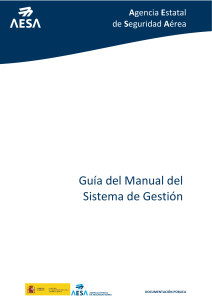 Guía del Manual del Sistema de Gestión AESA