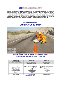 Informe Mensual Conservación Vial Tacna