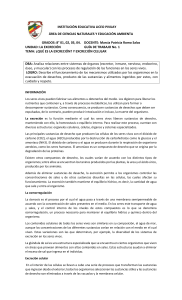 Guía de Excreción Celular y en Organismos Sencillos - 8° Grado