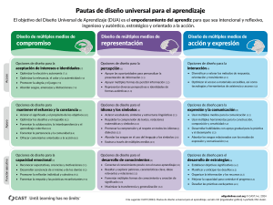 Pautas DUA: Diseño Universal para el Aprendizaje