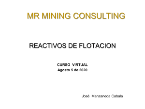 Reactivos de Flotación: Curso Virtual Minería