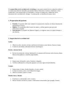 Examen Físico Oral y Faríngeo: Guía Detallada