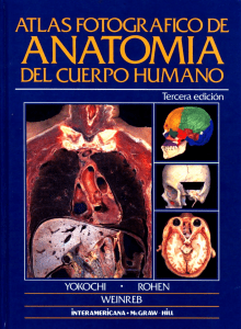 Anatomia del Cuerpo Humano: Photographic Atlas