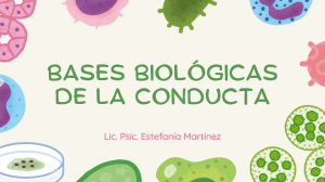 Bases Biológicas de la Conducta: Introducción a la Psicobiología