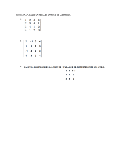 Determinant Calculation Worksheet: Sarrus' Rule