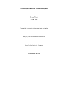 Estructura Cerebral: Informe de Disección y Anatomía