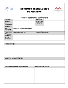 Formato Reporte Práctica - Instituto Tecnológico Arandas