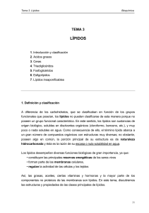 Lípidos