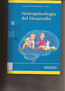 Neuropsychology of Development Textbook