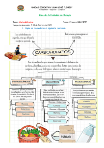 Guía de Actividades: Carbohidratos - Biología 1 BGU