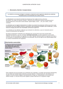 Alimentación, Nutrición y Salud: Conceptos Básicos