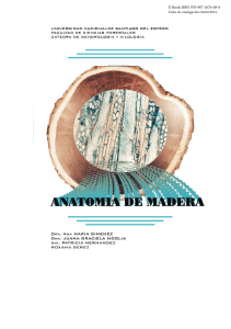 Anatomía de la Madera: Xilema y Estructura