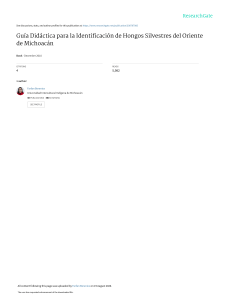 guía didáctica para la identificación de hongos silvestres 
