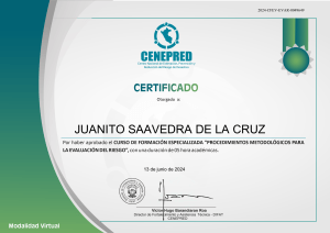 Procedimientos EVAR Certificado