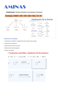 Aminas: Síntesis, Reactividad y Clasificación