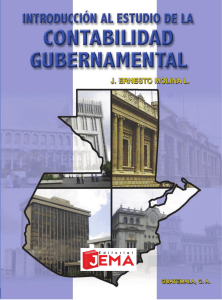 Contabilidad Gubernamental: Introducción al Estudio