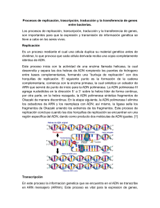 Replicación, Transcripción, Traducción y Transferencia de Genes