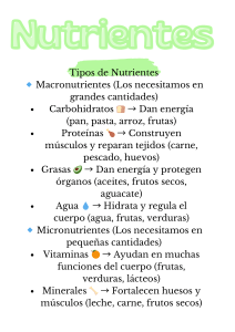 Nutrientes: Macronutrientes y Micronutrientes