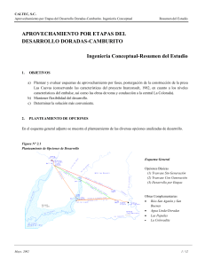 Desarrollo Doradas-Camburito: Estudio de Ingeniería Conceptual