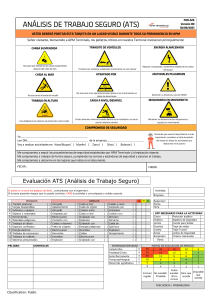 Análisis de Trabajo Seguro (ATS) - APM Terminals