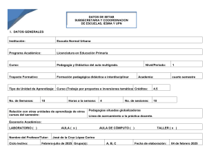 Programa de Pedagogía y Didáctica del Aula Multigrado