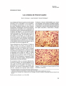 Cristales de Charcot-Leyden: Origen, Composici&oacute;n y Significado