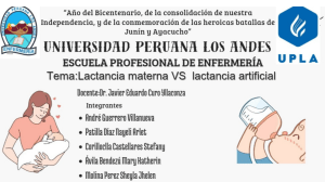 Leche Materna vs F&oacute;rmula: Composici&oacute;n, Beneficios y Riesgos