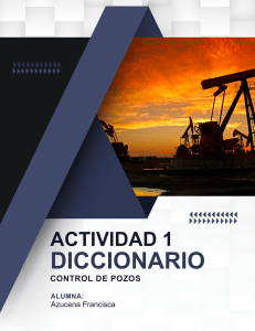 Diccionario Control de Pozos Petroleros