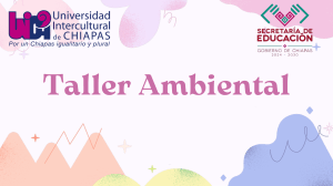 Taller Ambiental: Universidad Intercultural de Chiapas