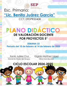 Plan Didáctico 5° Grado: Proyectos y Valoración Docente