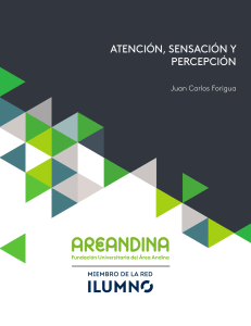 Atenci&oacute;n, Sensaci&oacute;n y Percepci&oacute;n: M&oacute;dulo Universitario