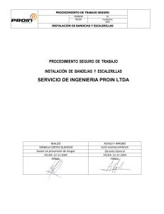 Procedimiento Seguro Instalación Bandejas y Escalerillas