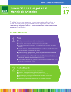 Prevención de Riesgos en el Manejo de Animales: Consejos