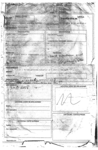 Expediente Judicial C-1992 Conaf-Quiborax Año 2008
